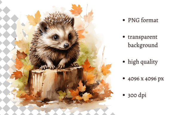 Cute Watercolor Autumn Hedgehog Clipart Illustrations