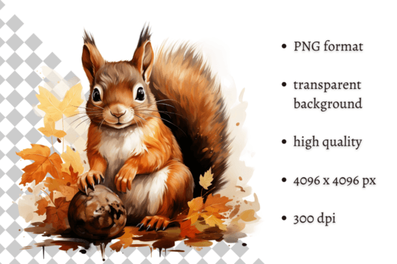 Cute Watercolor Autumn Squirrel Clipart Illustrations