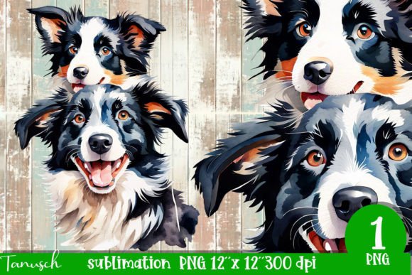 Hand Painted Cute Watercolor Illustrations Review