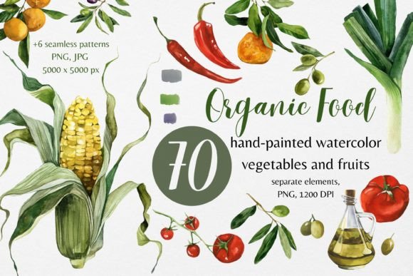 Organic Food Watercolor Vegetables Illustrations Review