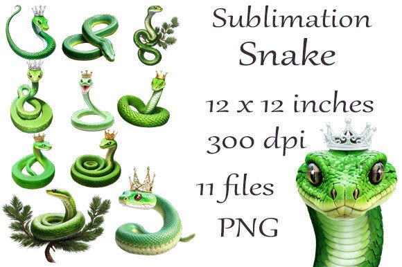 Sublimation Watercolor Snakes PNG: Illustrations Review