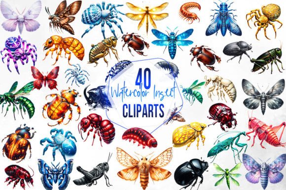 Watercolor Insect Sublimation Clipart Illustrations