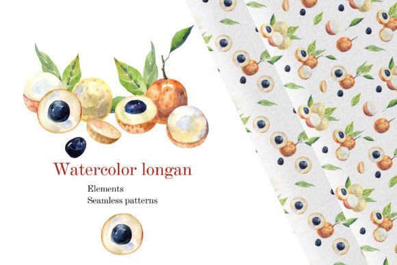 Watercolor Longan Illustrations for Organic Branding