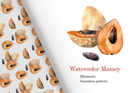 Watercolor Mamey Illustrations for Brand Design
