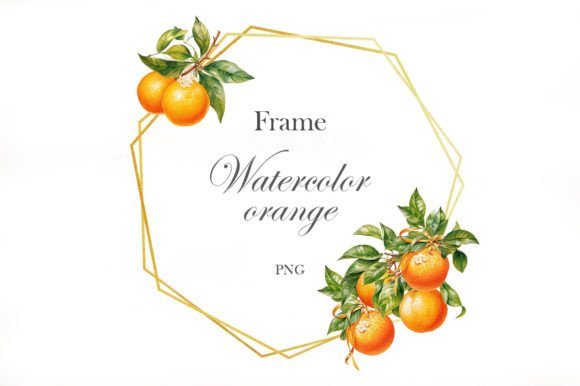 Watercolor Orange Frame: Illustrations for Branding