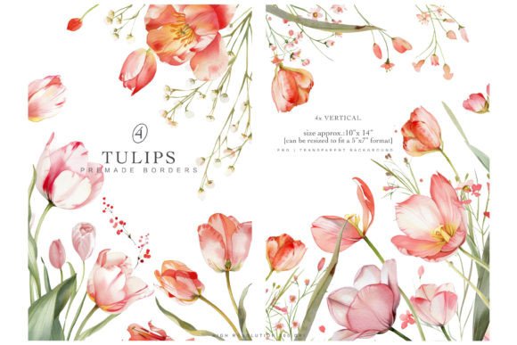 Watercolor Tulips Premade Borders: Illustrations Review